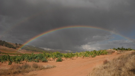 Regenbogen