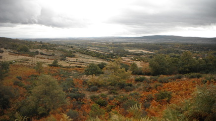 El Bierzo